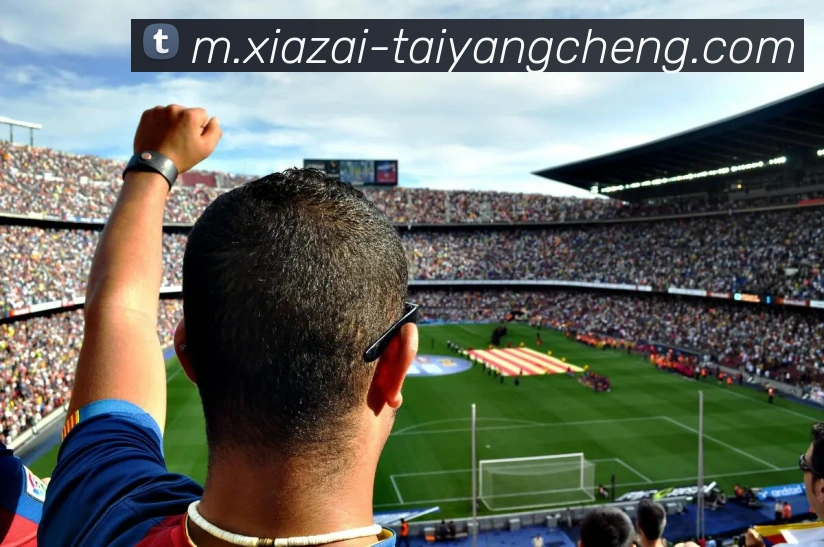 太阳城APP 封面图